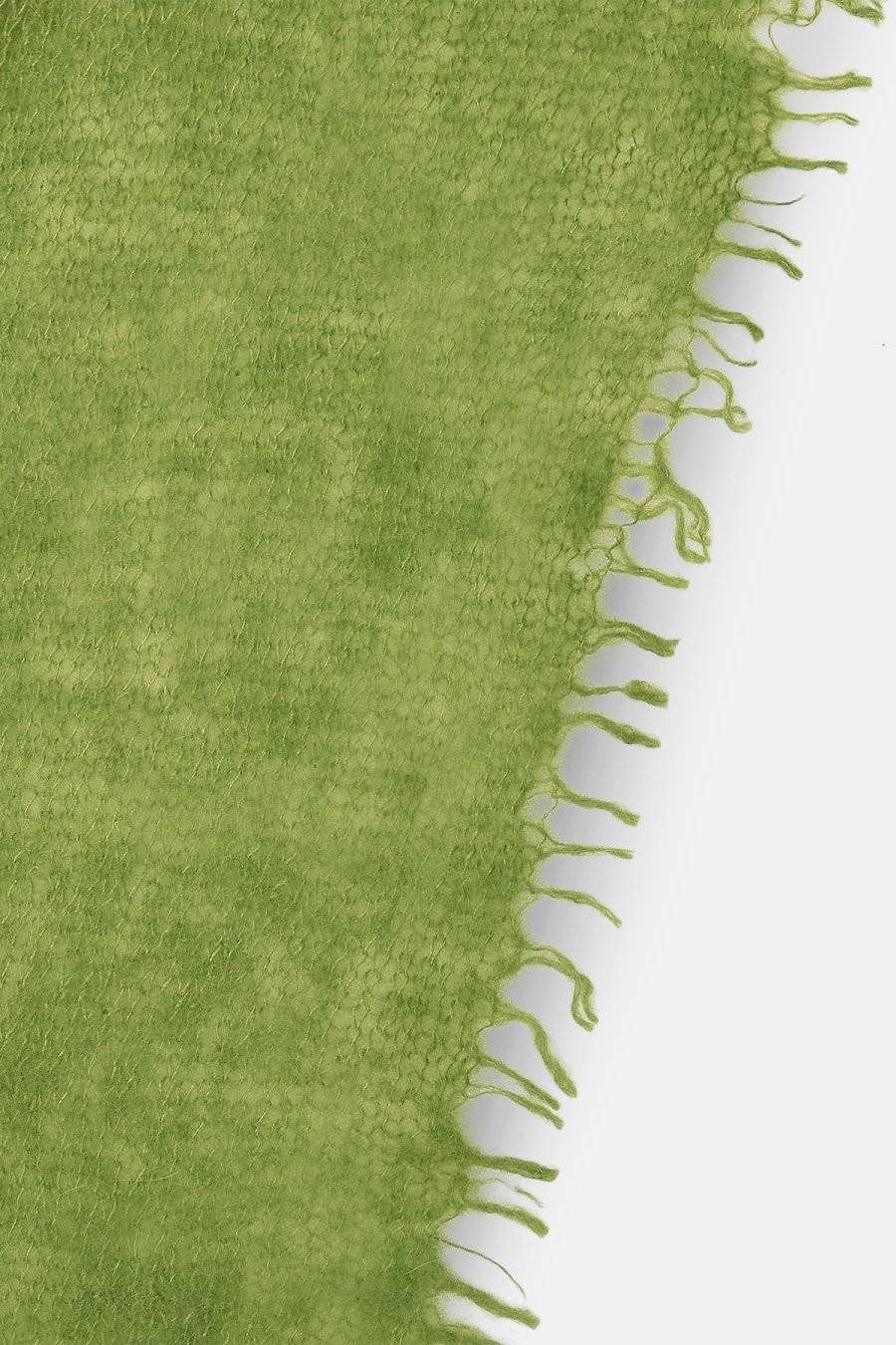 Mouleta Kaschmirschal grün Colors Wochenangebot
