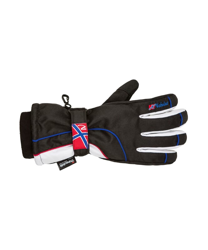 Nebulus Skihandschuhe SPIKE Herren Zeitlich begrenztes Angebot
