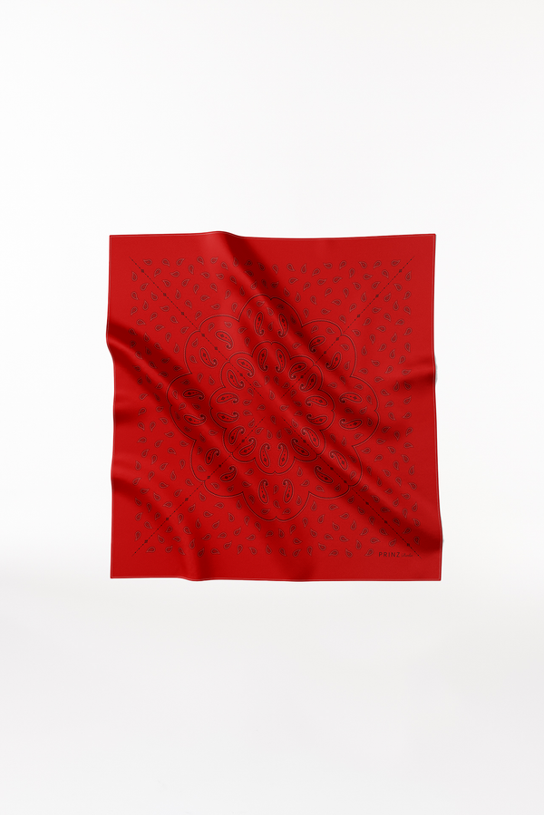 Prinz Berlin Seidentuch Paisley 90 Rot Begrenztes Angebot